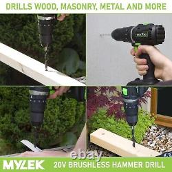 Mylek Cordless Hammer Drill Electric Screwdriver 20V Power Tool DIY 50 Piece Set